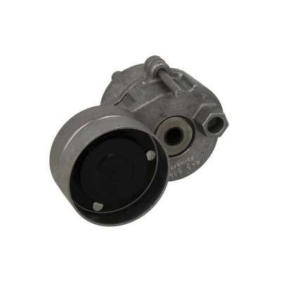 Afbeelding van SKF Spanrol (poly) V riem VKMCV 53011
