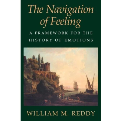 Afbeelding van the Navigation of Feeling: A Framework for History Emotions