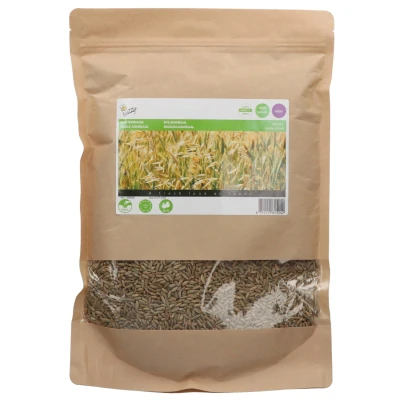 Afbeelding van Winterrogge 1kg, Groenbemester Buzzy