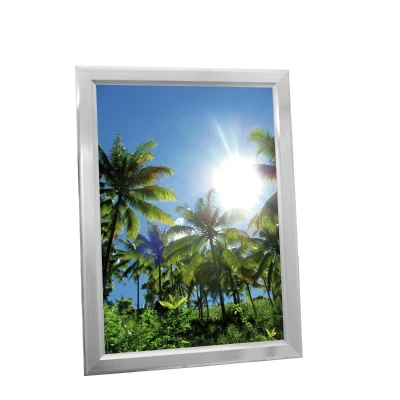 Afbeelding van Europalms Illuminated billboard A1, aluminium