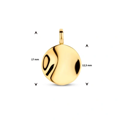 Afbeelding van goud (geelgoud) hanger rond 4024423