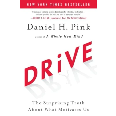 Afbeelding van Drive: The Surprising Truth About What Motivates Us