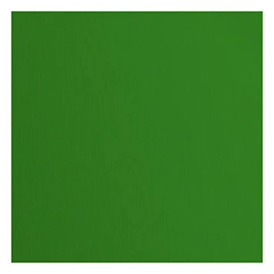 Afbeelding van Vaessen Creative Florence Cardstock Papier, groen, 216 g/m², vierkant, 30,5 x cm, 20 stuks, textuur, voor scrapbooking, kaarten, stansen en ander knutselwerk