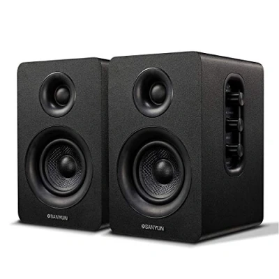 Afbeelding van Sanyun SW208 2 stuks Bluetooth 5.0 actieve plankluidsprekers 3 inch koolstofvezel 60 W geïntegreerde 24 bit DAC 3D dynamisch surround sound computermonitor 2.0 zwart