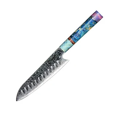 Afbeelding van hajegato Professionele Japanse Chefs Keukenmes Unieke Santoku 7 &quot;Vg10 67 Lagen Damascus Staal Mes met Schede