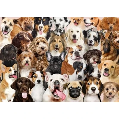 Afbeelding van Peter Pauper Puzzel All the Dogs 1000 st