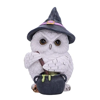 Afbeelding van Nemesis Now Uil Potion Beeldje 17,5 cm, Wit