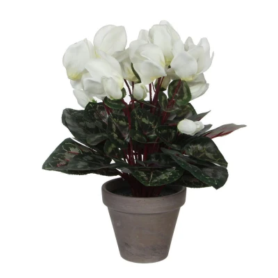 Afbeelding van Mica Decorations cyclamen wit in pot stan grijs (dia 11) 30x30