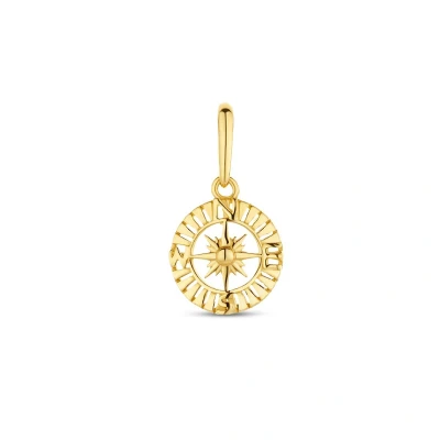 Afbeelding van goud (geelgoud) hanger kompas 4026075