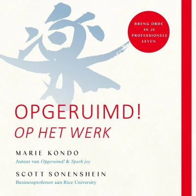 Afbeelding van Opgeruimd! Op het werk