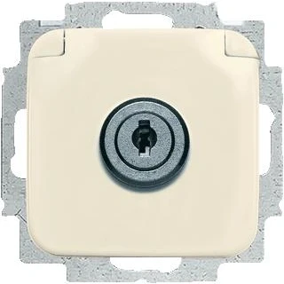 Afbeelding van Abb busch jaeger si thermoplast inbouw 1 voudige wcd met randaarde centraalplaat steekklem ral1013 2cka002018a1474