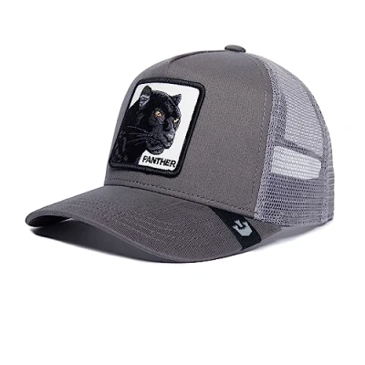 Afbeelding van Goorin Bros Black Panther Grey Cap