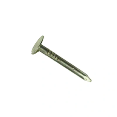 Afbeelding van Homefix asfaltnagel pk gegalvaniseerd 3 x 20 mm 90 gram