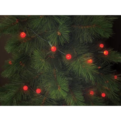 Afbeelding van Cherry Light LED 12m 120 Rode Lampjes Groene Draad 24 V