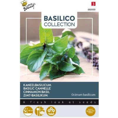 Afbeelding van Basilicum, kaneelsmaak