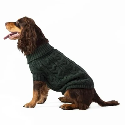 Afbeelding van HUGO &amp; HUDSON HACKETT Hondentrui met kabelgebreide trui, warme gebreide coltrui, groen, XS