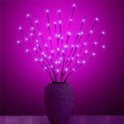 Afbeelding van Kerst wilgentakken set 20 LEDs Paars