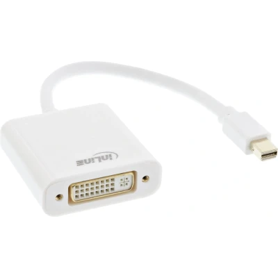 Afbeelding van InLine 17194K video kabel adapter 0,15 m Mini DisplayPort DVI D Wit
