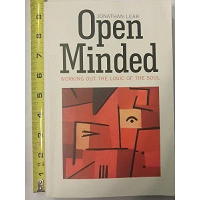 Afbeelding van Open Minded: Working Out the Logic of Soul