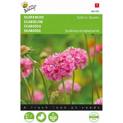 Afbeelding van Scabiosa, Duifkruid Salmon Queen