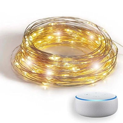 Afbeelding van GuirLED Lichtsnoer WLAN Mini LED USB spraakbesturing verbonden huis Amazon Alexa &amp; Google Assistant 2 A voeding inbegrepen 200 leds 20 meter zilverfilament