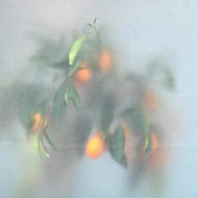Afbeelding van U Ziq &amp; Mrs Jynx Secret Garden (LP)