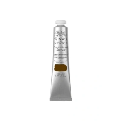 Afbeelding van Winsor &amp; Newton 2337554 Professionele acrylverf, hoge dekking, kunstenaarskwaliteit, lichtecht 200ml Tube, Raw Umber