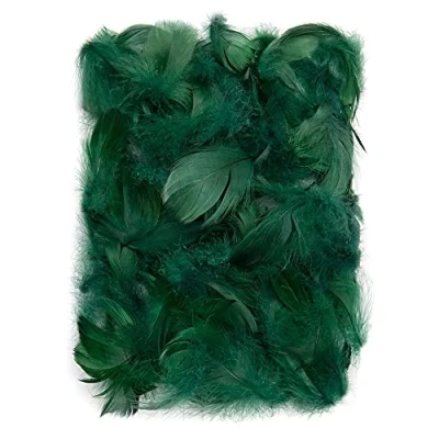 Afbeelding van Netuno 150 stuks donkergroene decoratieve veren, 10 g, pluisveren, sierveren, vogelveren, knutselveren, natuur voor doe het zelf knutselen, decoratie, Pasen, Kerstmis, decoratiefiguur
