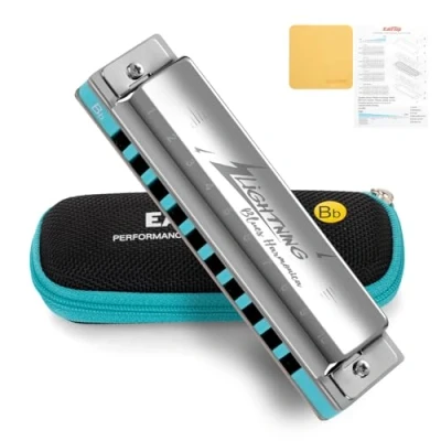Afbeelding van East top Harmonica, geavanceerde diatonische Mondharmonica sleutel van Bb, 10 Holes Blues Harp Mouth Organ met Zilveren Cover, Mondharmonica&#039;s voor volwassenen, professionals en