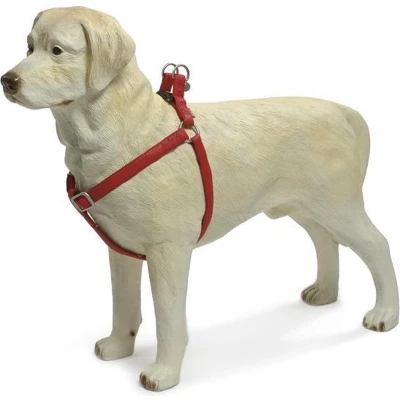 Afbeelding van Beeztees Hondentuig Mac Leather Rood 35 60 cm