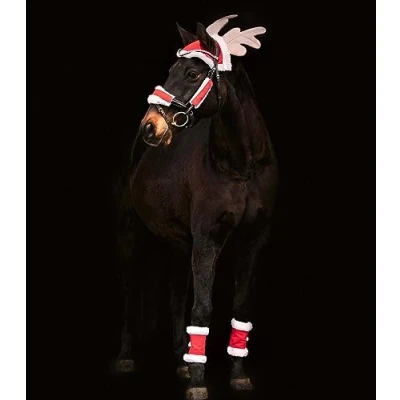 Afbeelding van Waldhausen Kerstset One Size