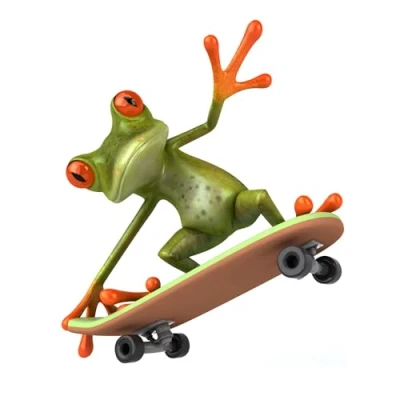 Afbeelding van kfz_280 Kikker met skateboard, 12,5 x 15 cm groot, voor motorfiets, bromfiets, scooter, notebook, laptop, autosticker, badsticker, grappig, weerbestendig