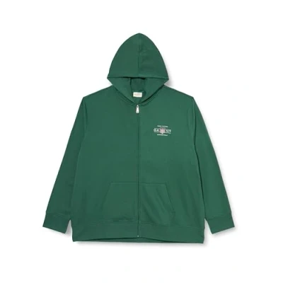 Afbeelding van GANT Graphic Fullzip Hoodie Sweater met rits, Heren, Maat: Small, Green