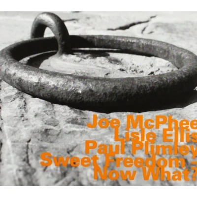 Afbeelding van Joe McPhee Sweet Freedom ? Now What? (CD)
