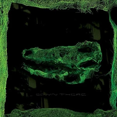Afbeelding van Avey Tare Down There (LP)