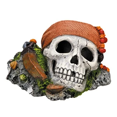 Afbeelding van Nobby aqua deco piraten doodshoofd 14,5 x 12,5 8,5 cm