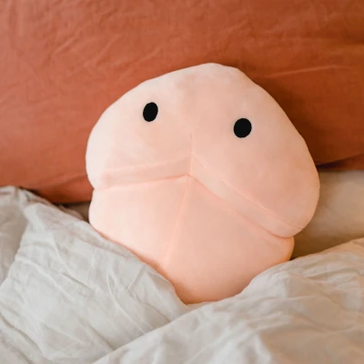 Afbeelding van Willy the Warmer warmtekussen met pittenzak