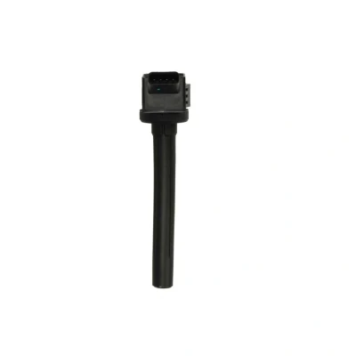 Afbeelding van Delphi Diesel Bobine GN11019 12B1
