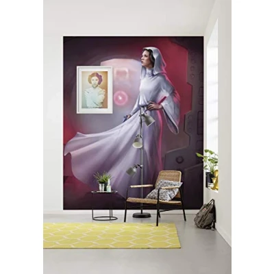 Afbeelding van Komar Vliesbehang star Wars Classic Death trenchcoat Run (set)
