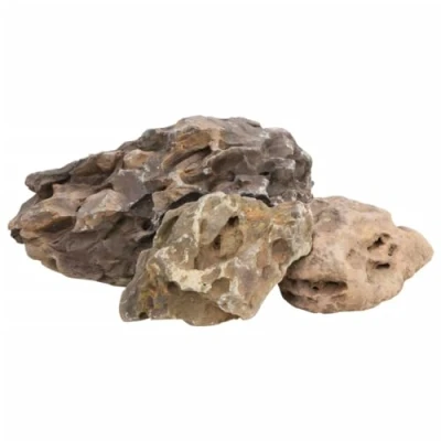 Afbeelding van vidaXL Drakenstenen 10 kg 40 cm grijs