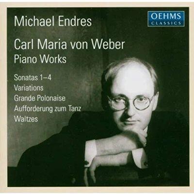 Afbeelding van Michael Endres Piano Sonatas 1 4/Variations Op.7 &amp; (2 CD)