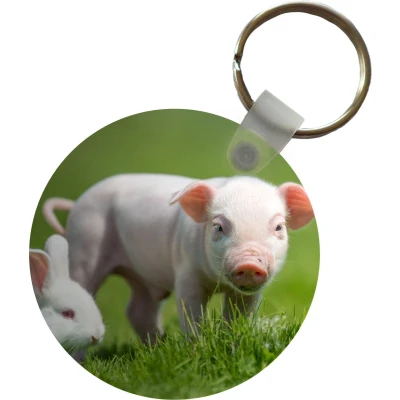 Afbeelding van Sleutelhanger Biggetje Konijn Dieren Plastic Rond Uitdeelcadeautjes