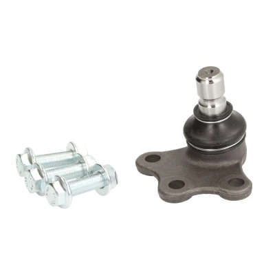 Afbeelding van Moog Fuseekogel CI BJ 8795