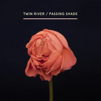 Afbeelding van Twin River Passing Shade (LP)