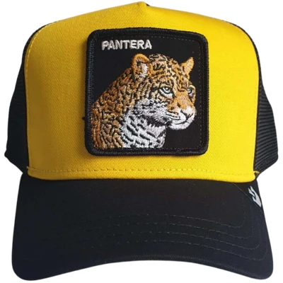Afbeelding van Goorin Bros Pet, Maat: One Size, Black and yellow