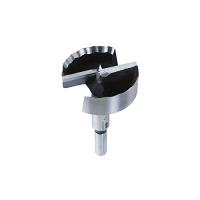 Afbeelding van Fisch Tools Houtboor d. 48 mm totale lengte 90 schacht 10 1 stuk 031704800