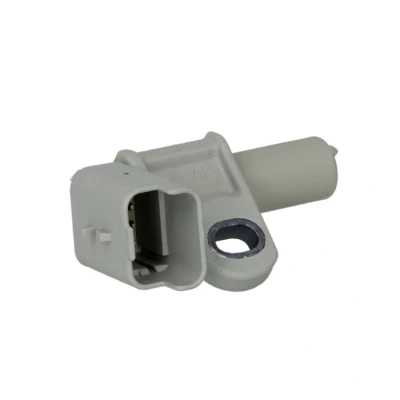 Afbeelding van Nokkenassensor DELPHI SS10739 12B1