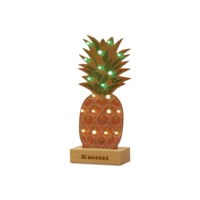 Afbeelding van XL Soldeerkit Ananas