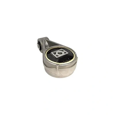 Afbeelding van Delphi Diesel Motorsteun TEM005