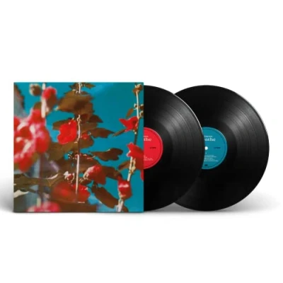 Afbeelding van Chad Lawson Breathe (2 LP)